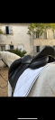 Selle de dressage 
