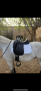 Selle de dressage 