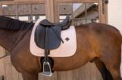 Tapis de selle Velvet Rose pale DRESSAGE - Kentucky