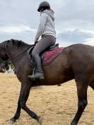 Magnifique selle mixte 