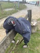 Magnifique selle mixte 