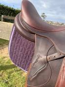 Magnifique selle mixte 