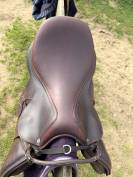 Magnifique selle mixte 