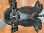 Childeric dressage DHE 17’5