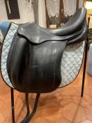 Childeric dressage DHE 17’5