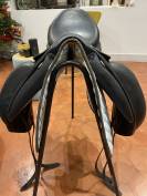 Childeric dressage DHE 17’5