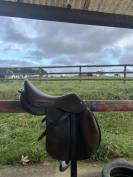 Selle forestier 2022 16 pouces taille junior 