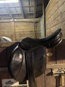 SELLE FORESTIER Noire 16,5