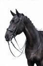 Bride de dressage Grace - HKM - Cuir avec strass