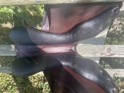 Selle d'obstacle Equiline Nick Skelton