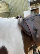 Sella da salto ostacoli Arion Atlas  17.5" - 2022