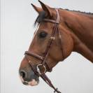 Bridon classique - HVN - Confort et stabilit&eacute;