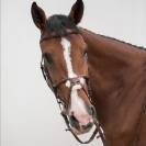 Bridon crossline avec muserolle mexicaine - HVN