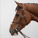 Bridon crossline avec muserolle mexicaine - HVN