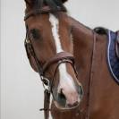 Bridon ergonomique HVM - Confort optimal