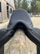 Selle dressage - Arion Sellier 