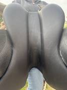 Selle dressage - Arion Sellier 