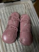 Protections Kentucky rose 