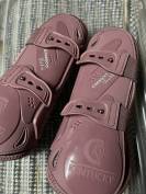 Protections Kentucky rose 