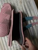 Protections Kentucky rose 