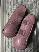 Protections Kentucky rose 