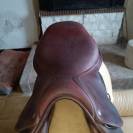 Sella da salto ostacoli CWD  17.5" - 2014