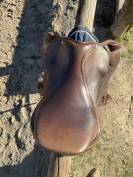 Selle Premier &eacute;quine adaptable