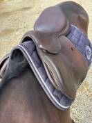 selle Antar&egrave;s 17.5 pouces