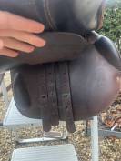 Selle prestige Taille 17  Ann&eacute;e 2011 