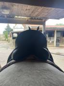 Sella da dressage   17.5" - 2016