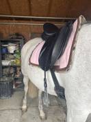 Sella da dressage   17.5" - 2016