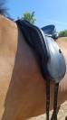 Selle dressage FairFax 18''