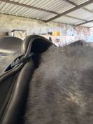 Selle Time rider infinity III