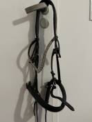 Filet anatomique Grayson