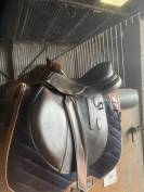 Selle GBS mixte de 2021