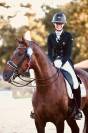 Frac dressage ANIMO noir 36