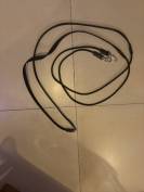 R&ecirc;nes allemandes 