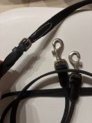 R&ecirc;nes allemandes 