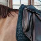 Tapis de selle Classique DRESSAGE - Kentucky