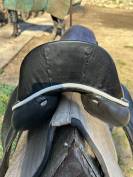 Selle de dressage 