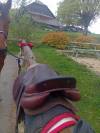 Sella da salto ostacoli CWD  17.5" - 2014