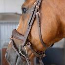 Bridon Soft Bombastic Crystals - HARRY'S HORSE