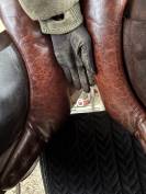 Selle dressage 