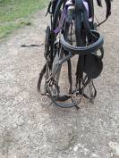 Harnais cheval de trait