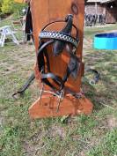 Harnais poney c d