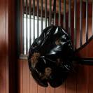 Sac &agrave; foin rond Play & Slow feeder - Kentucky - 80 cm de diam&egrave;tre