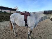 Selle butet practice