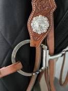 Bridon et collier de chasse western