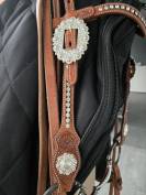 Bridon et collier de chasse western