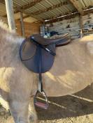 Selle Philippe Fontaine 